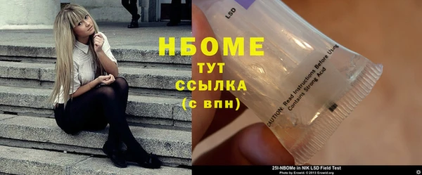 гидра Михайловка