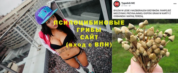 крисы Наволоки