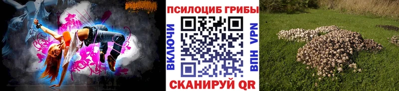 Псилоцибиновые грибы Psilocybine cubensis  Купить где  Чернушка 